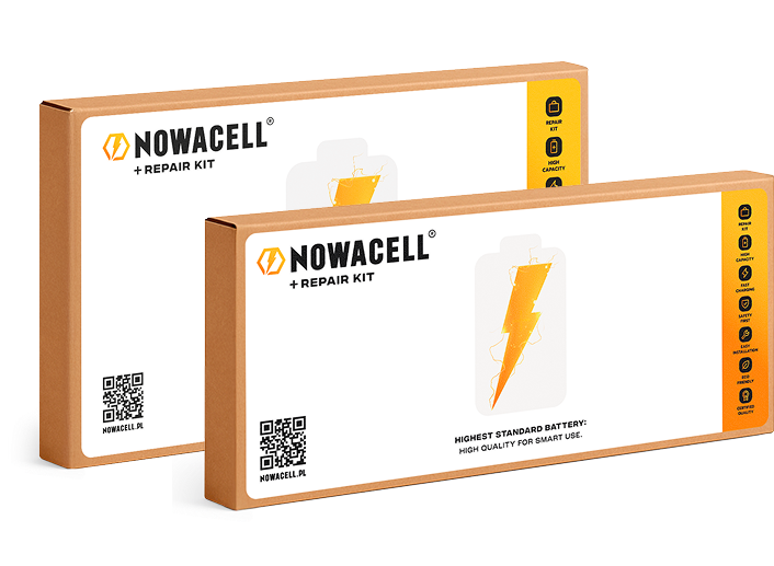 section 2 main image